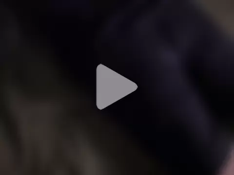 shychubasian photo 1