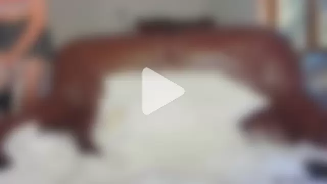 sierra_diamond photo 11