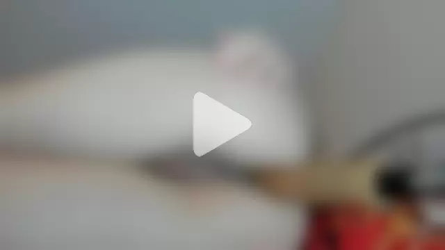 simona_butterfly photo 28