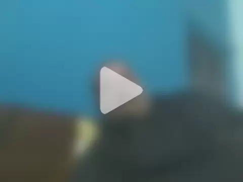 simpleboldguy277 photo 5