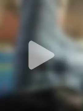singalguy12 photo 6