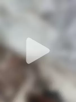 singalguy12 photo 4
