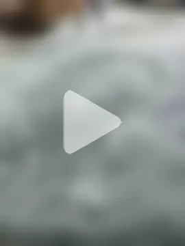 singalguy12 photo 3