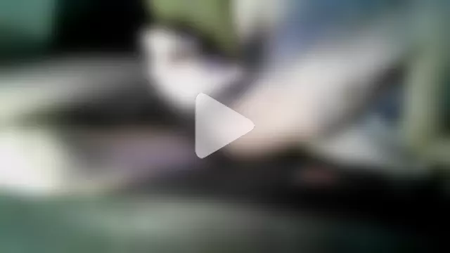 sjorgiogeorge photo 7