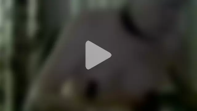 slaveman4you photo 9