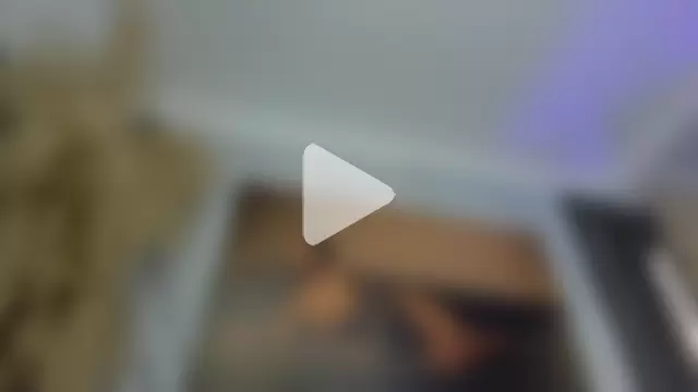 sofhiaa_adaams photo 9