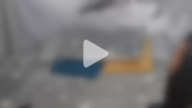 sofiasteven photo 15