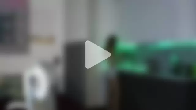 soguesswhat photo 25