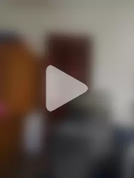 sollen-goddes photo 5