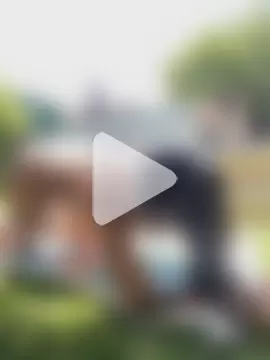 solmorochia photo 16