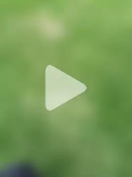 sophie_banger photo 7