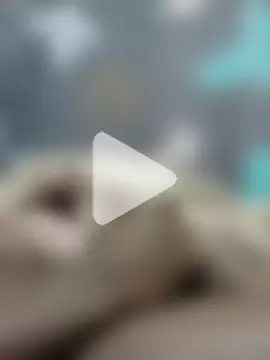 soulshaker2222 photo 19