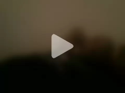 soulshaker2222 photo 3