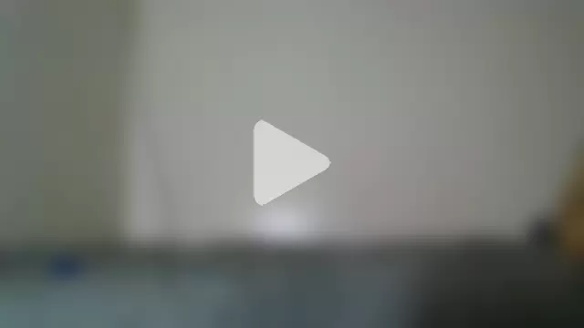 southeastindiann photo 24