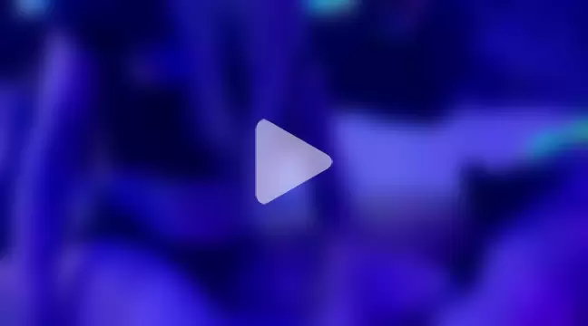 spacielacielush photo 11