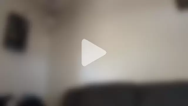 spoilbadkittynow photo 4