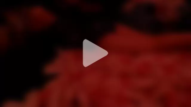 spookysmooches photo 2