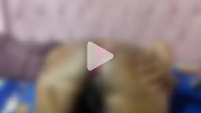 springbock56 photo 15