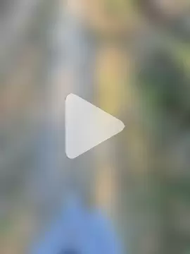 starvingo2002 photo 8