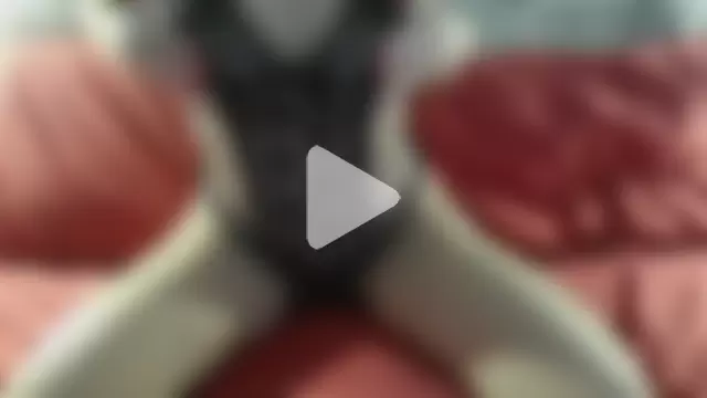 stellamarina85 photo 22