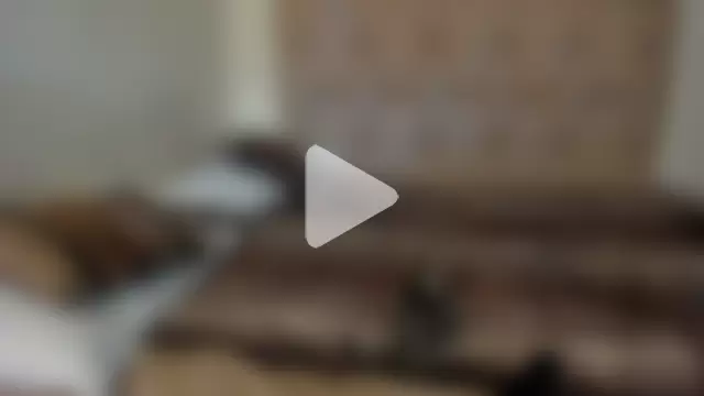 stepcouple_XXX photo 7