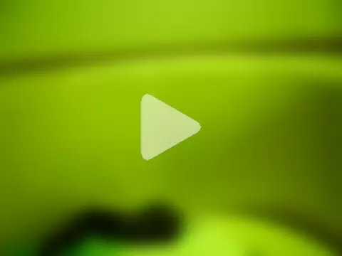 steven_mar43684 photo 2