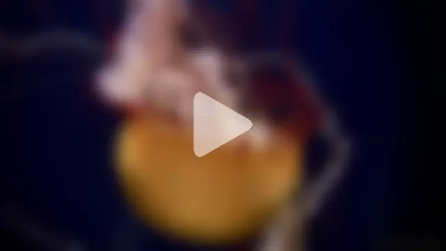 streamy_test11 photo 30