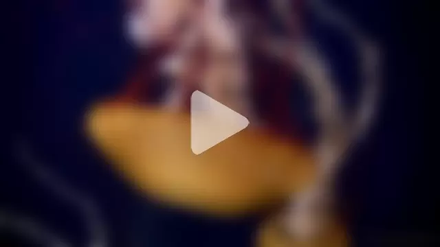 streamy_test11 photo 24