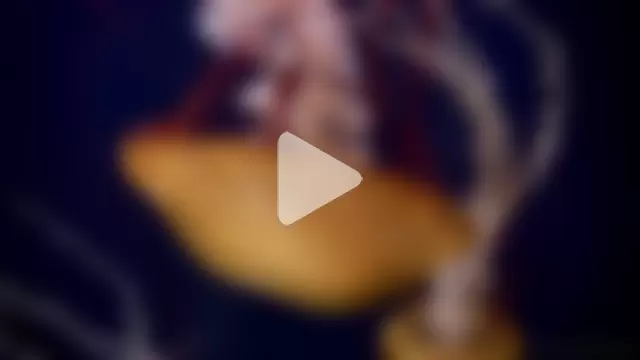 streamy_test11 photo 23