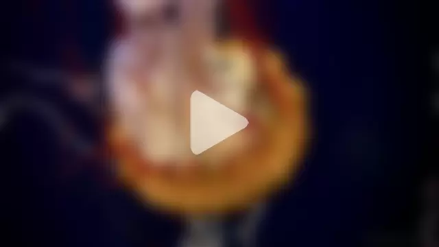 streamy_test11 photo 19