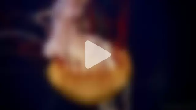 streamy_test11 photo 13