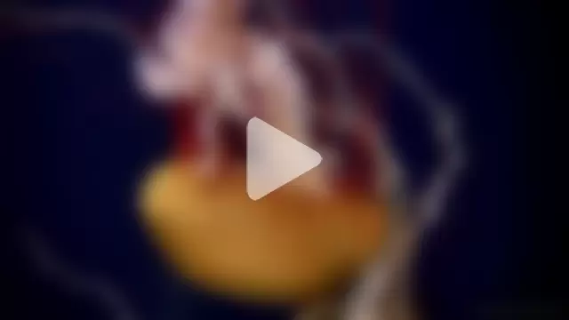 streamy_test11 photo 8