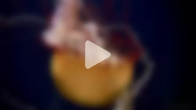 streamy_test11 photo 7