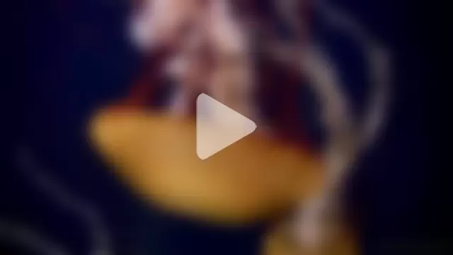 streamy_test11 photo 6