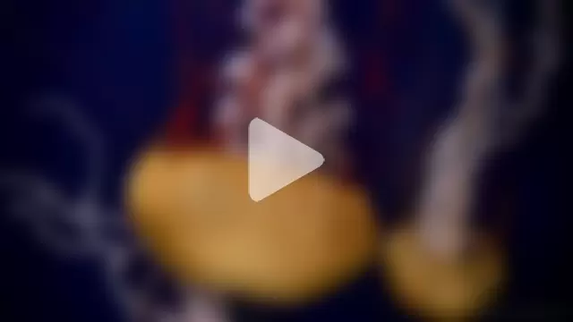 streamy_test11 photo 5