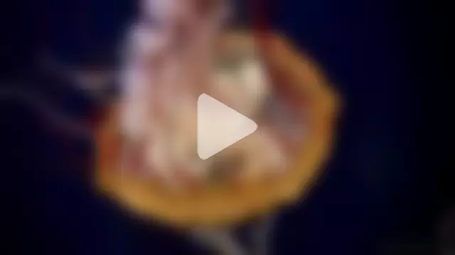 streamy_test11 photo 1