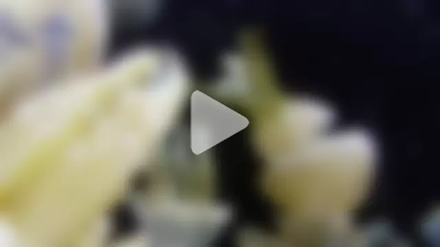 streamy_test15 photo 16