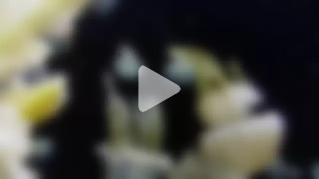 streamy_test15 photo 5