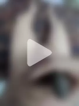 studboy1111 photo 18