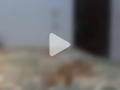 suman_night photo 22