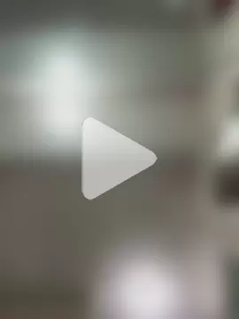 superbearboss photo 15