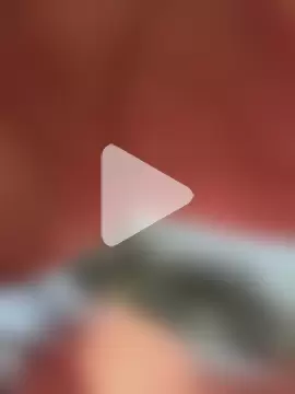 surprise16969schweiz photo 22