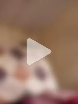 sushilbhosale667 photo 8