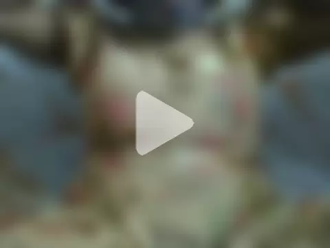 sushmatelugu-23 photo 5