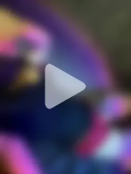 swallow-nice photo 24