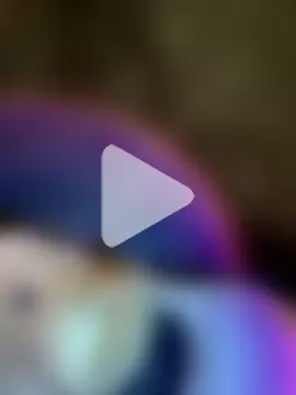 swallow-nice photo 18