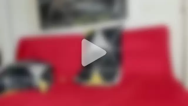 sweatyhairypig23 photo 5