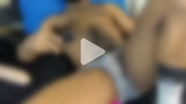 sweatyhairypig23 photo 18