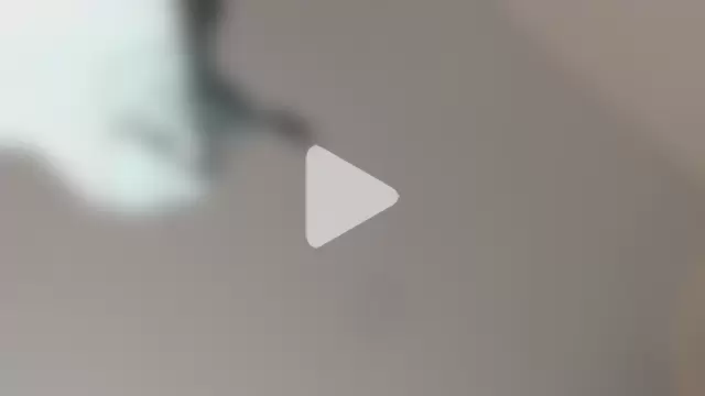 sweet__vanessa1 photo 19