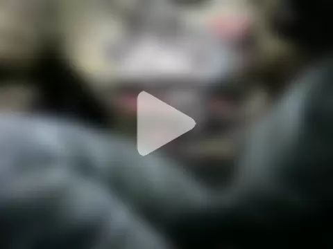 sweet_gal01 photo 20